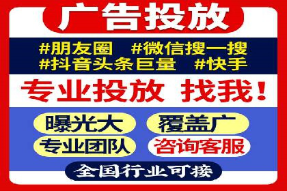 SEM代运营经典案例解析与启示